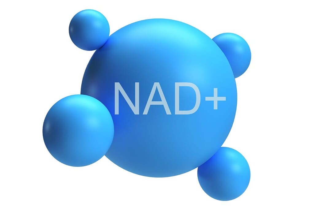 NAD+ คืออะไร