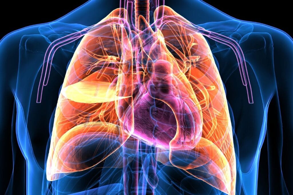 ระบบหายใจ