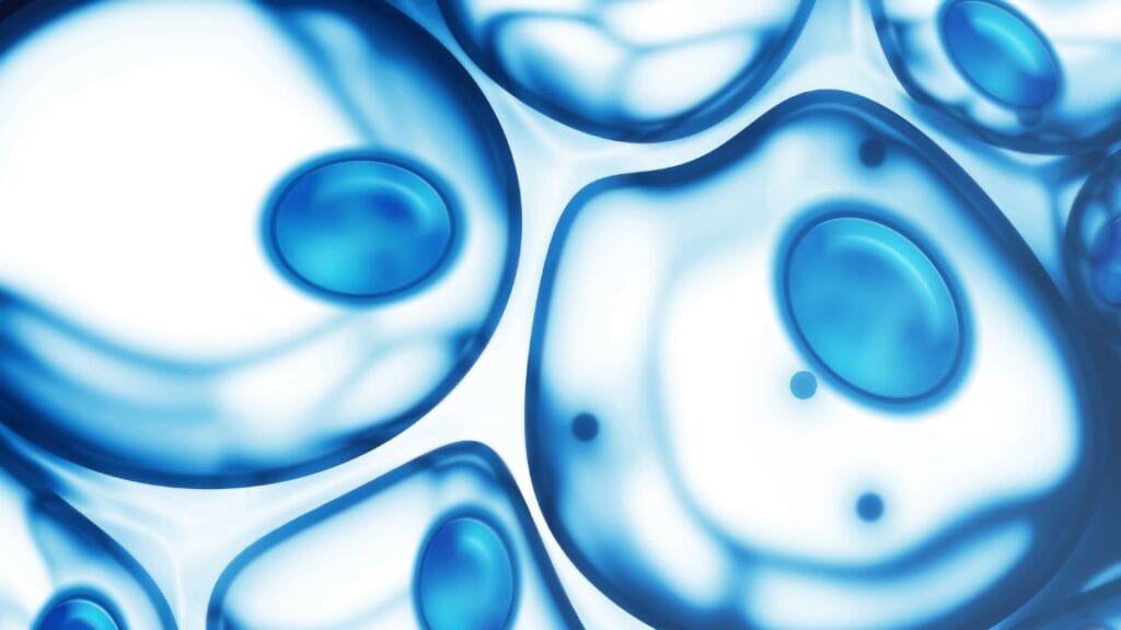 iCell Gene Therapeutics develops CAR-T and CAR-NK therapies for cancer. Learn how their research supports safer, targeted immune-based treatments.