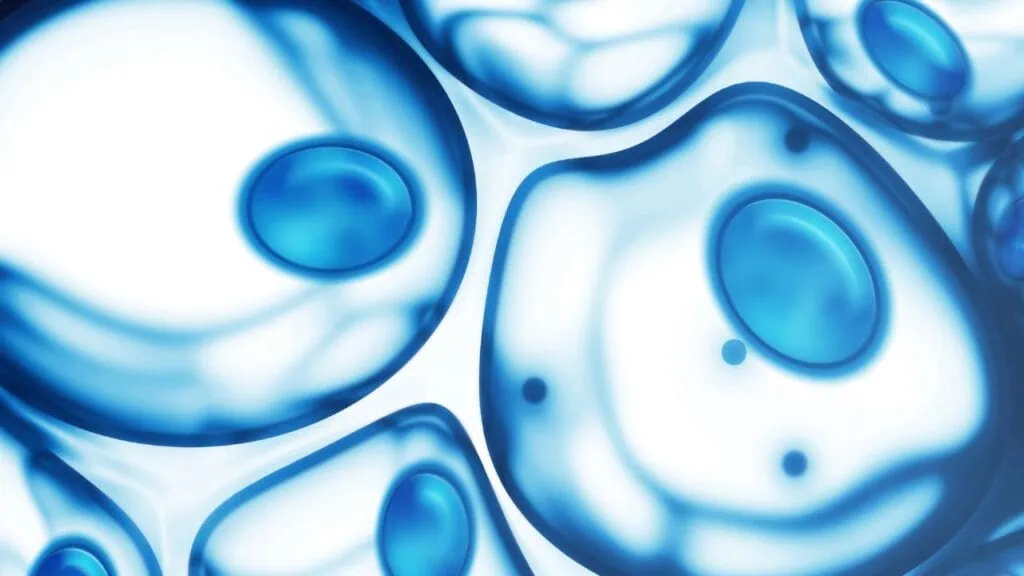 iCell Gene Therapeutics develops CAR-T and CAR-NK therapies for cancer. Learn how their research supports safer, targeted immune-based treatments.