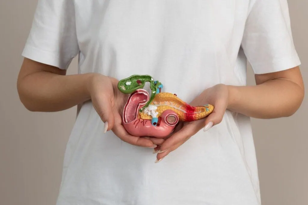 Pancreas คือ