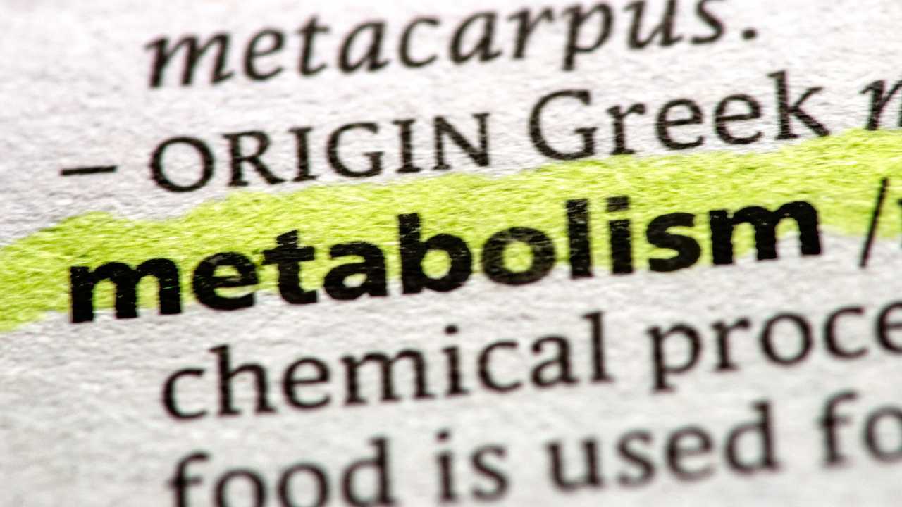 Feel like you gain weight even when eating very little? The real culprit might be poor metabolic flexibility. Learn what it is, how it affects your fat-burning ability, and step-by-step strategies to reset your metabolism.