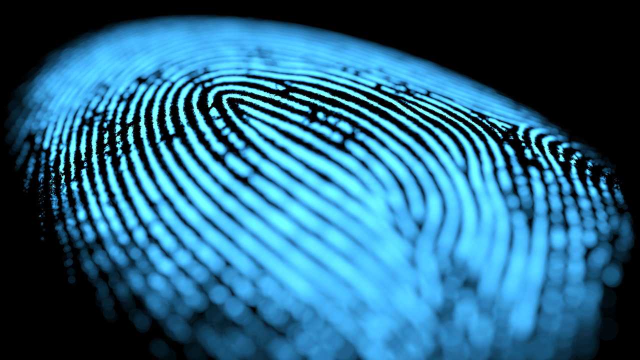 ลายนิ้วมือมีกี่แบบ? บทความนี้พาไปรู้จักลายนิ้วมือ 3 ประเภทหลัก ได้แก่ ลายก้นหอย ลายมัดหวี และลายโค้ง พร้อมเกร็ดความรู้เกี่ยวกับลายนิ้วมือสัตว์ วิธีเก็บรอยนิ้ว และ Q&A น่าสนใจ