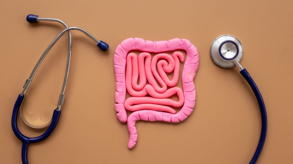 Learn about gut cancer, including symptoms, causes, and prevention tips. Discover early warning signs, screening methods, treatment options, and how to lower your risk.