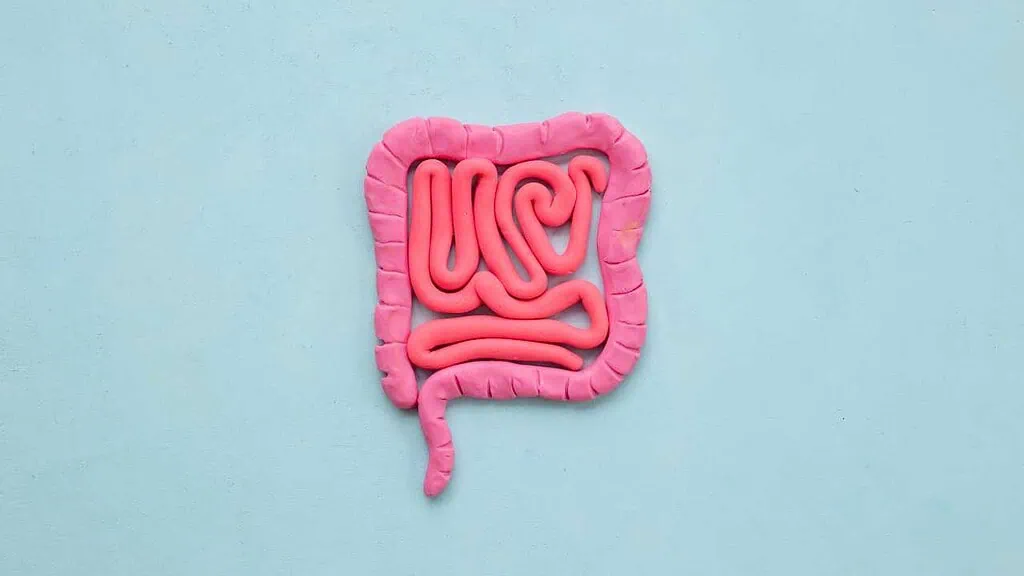 Restore digestion, boost energy & immunity with Gut Health IV Drip in Phuket. Medical-grade therapy at Siam Clinic for leaky gut, IBS & wellness reset.