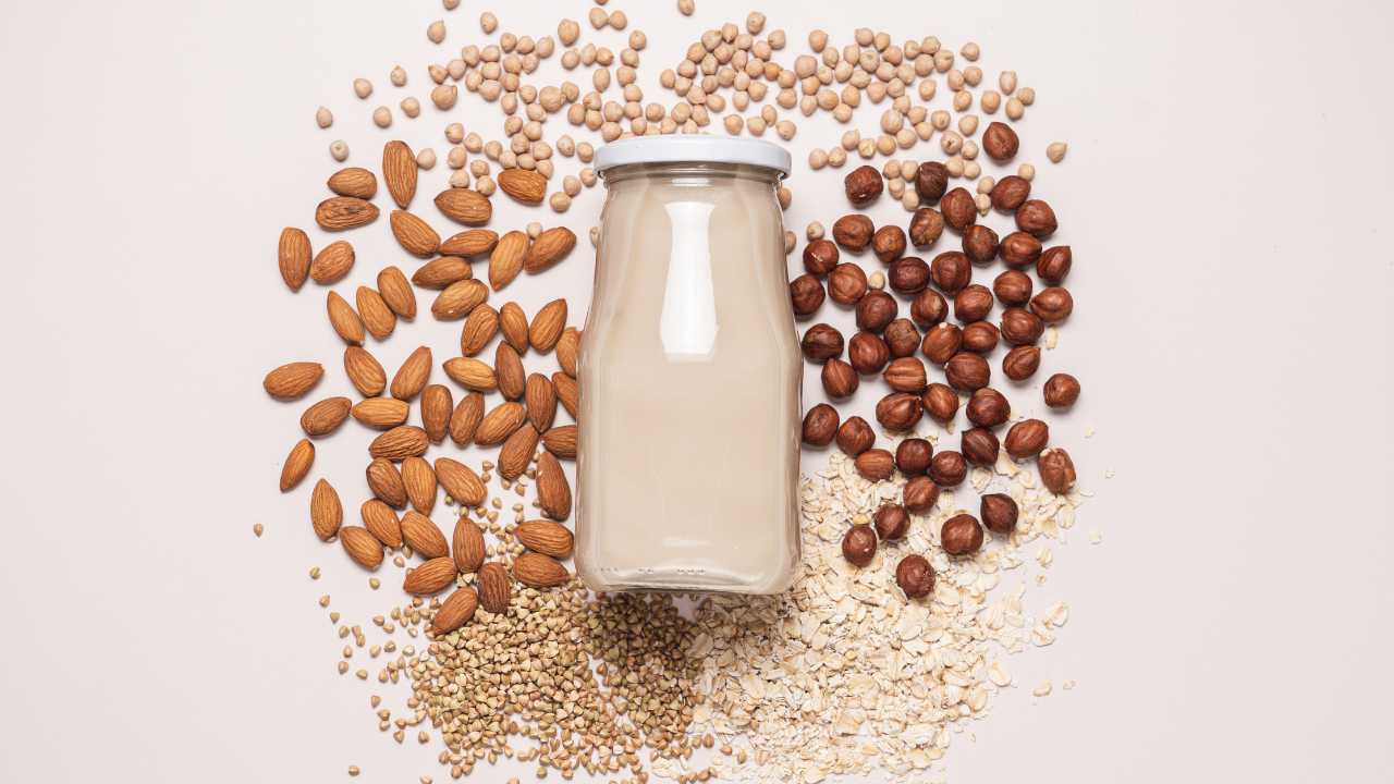 Discover the truth about plant-based milk and almond milk. Learn how they compare to cow’s milk, common misunderstandings, nutritional differences, and answers to popular questions.