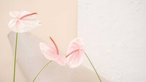 Discover how vaginal filler restores volume, smoothness, and confidence. Learn causes of aging changes and safe options for intimate rejuvenation.