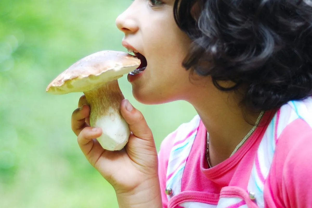 A young girl in a pink shirt about to bite a large, raw mushroom.