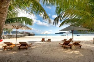 Tropical beach view with palm trees, sunbeds, umbrellas and a pier.